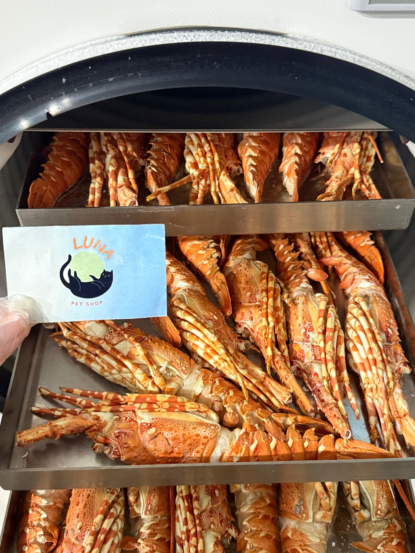 環球美食地圖5合1套裝