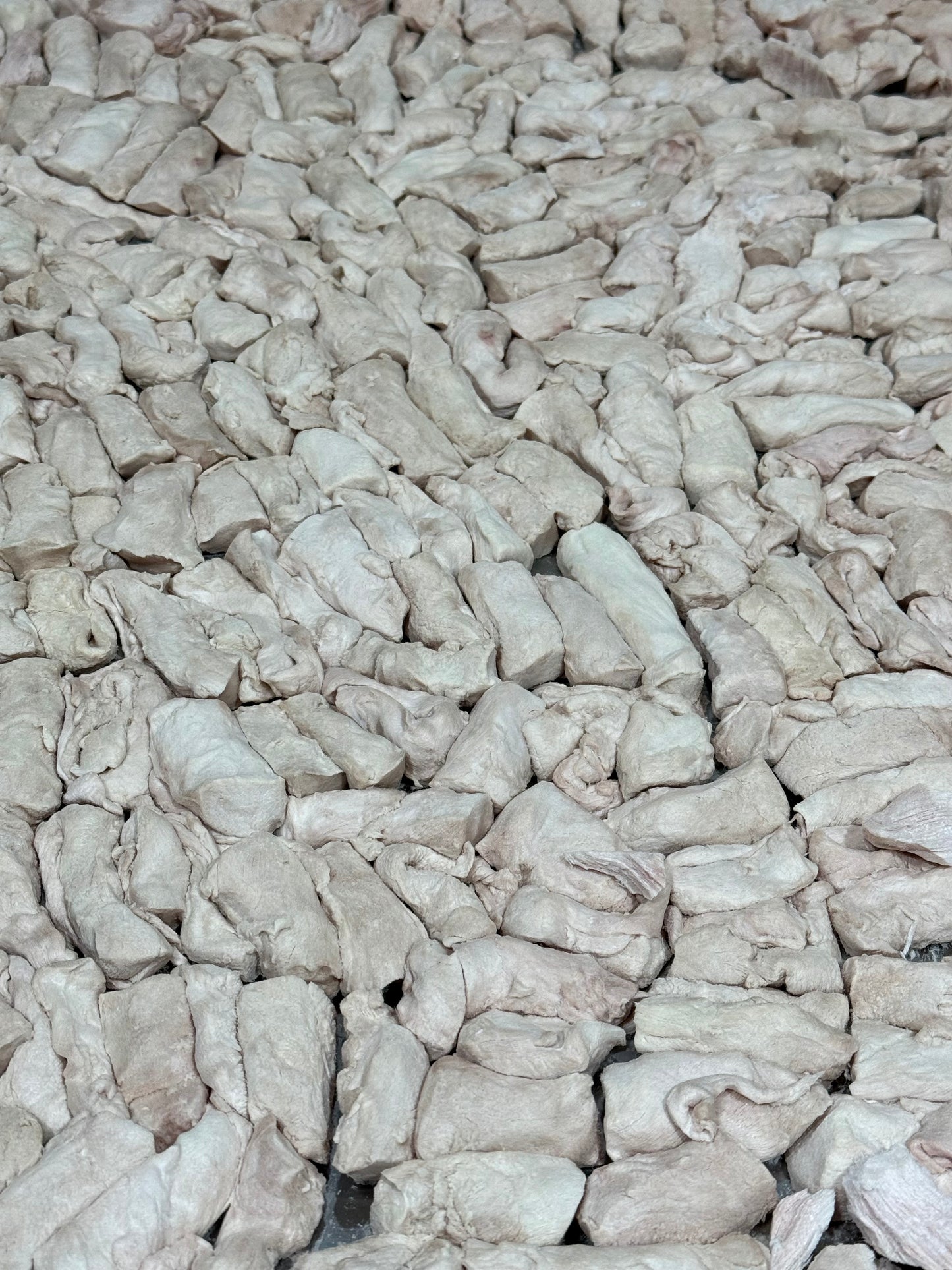 低敏•紐西蘭白兔柳