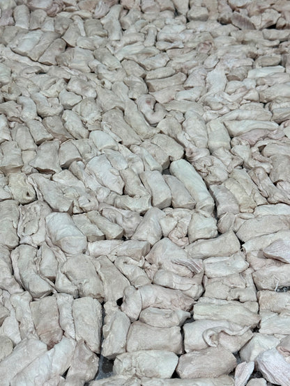 低敏•紐西蘭白兔柳