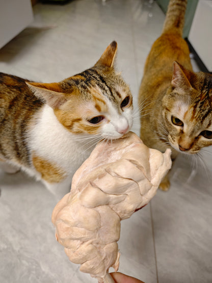 執雞·香港新鮮下莊雞髀