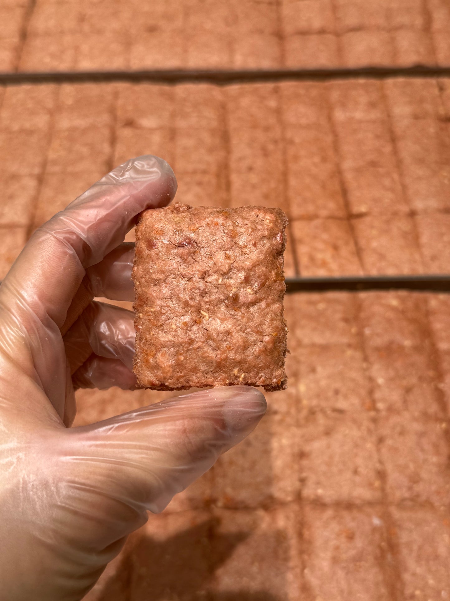 Luna生骨肉鴨肉主食磚